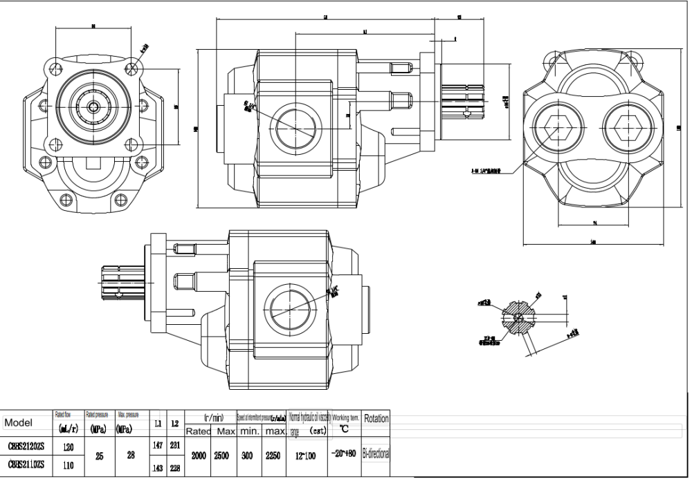 CBHST1-ISO-110 110 cc/回転 油圧ギア・ポンプ drawing image