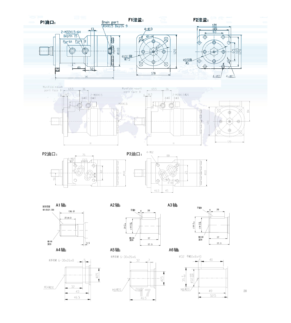 BM3_サイクロイド油圧モーター 100 cc/r 50 Lpm 油圧モーター drawing image