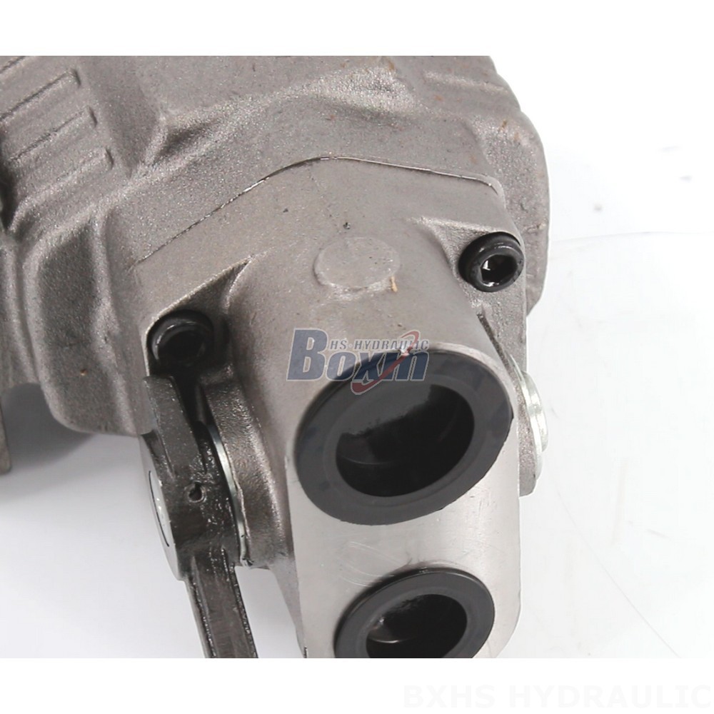 Precision BF110M Hydraulic Gear Pump, 20 MPa Rated (2900 psi) detail image
