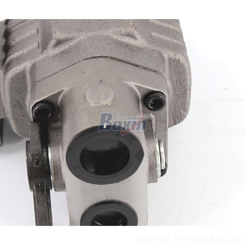 Manufacturer Price BF110M 20 MPa Hydraulic Gear Pump Wholesale detail image