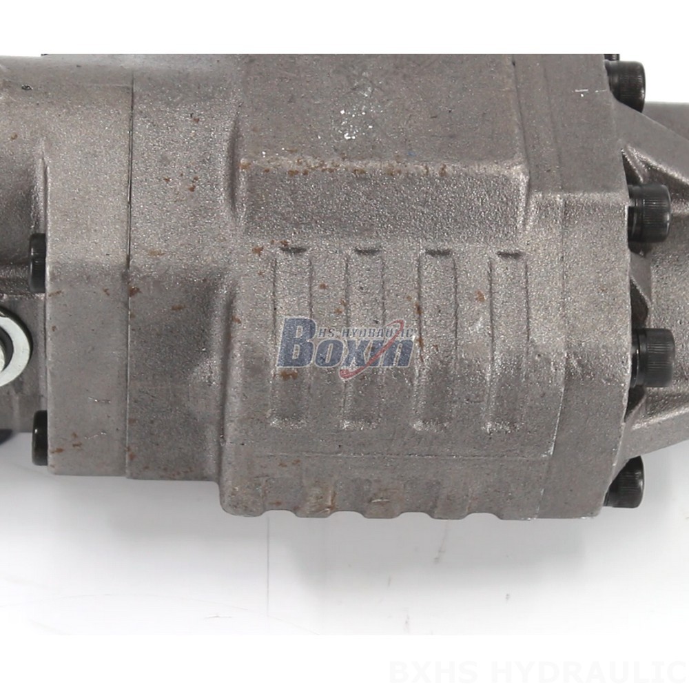 Explore Partnership Opportunities for BF110M Hydraulic Gear Pump Distribution detail image