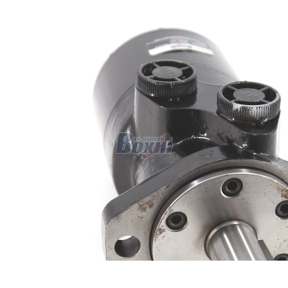 BMR-315 Gerotor Hydraulic Motor 315cc for Agricultural Machinery detail image