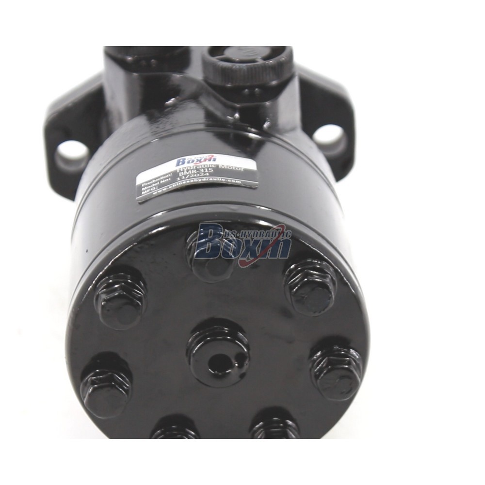 OEM ODM Custom BMR-315 Hydraulic Motor 315 cc/r Private Labeling detail image
