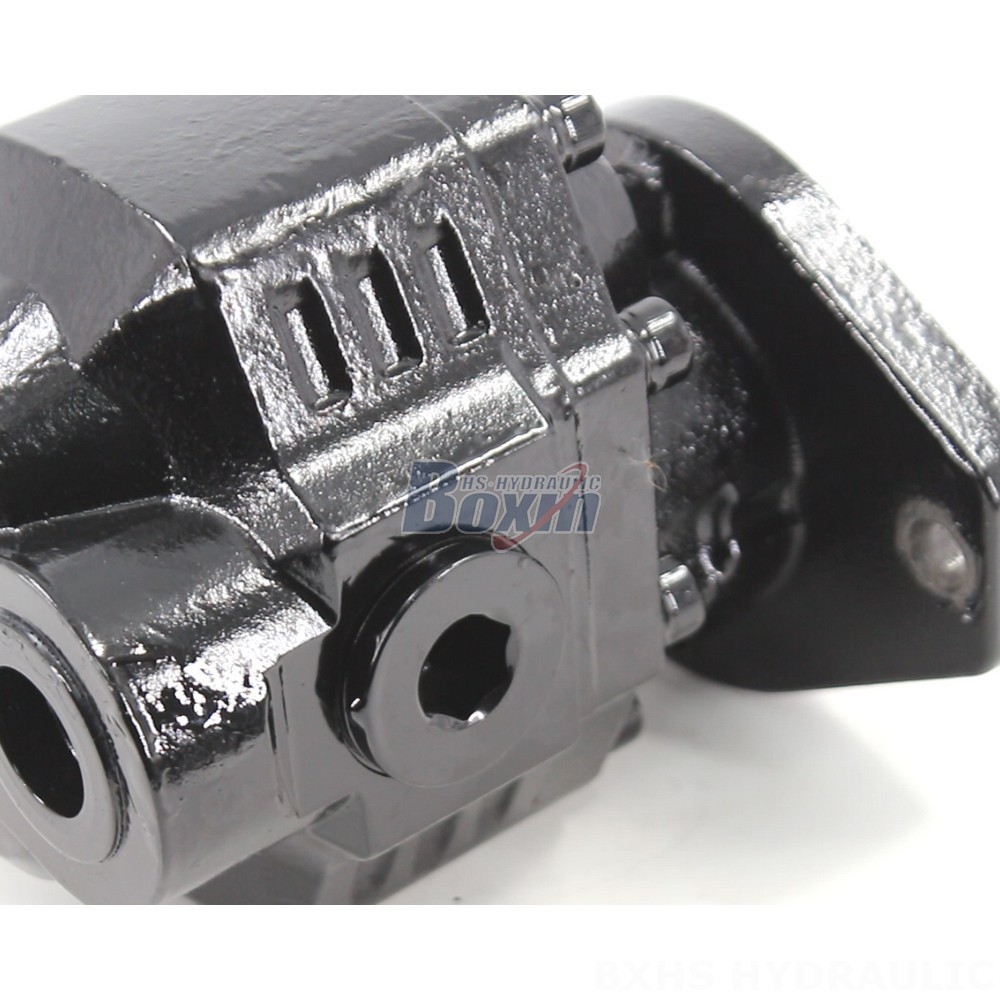 CBHL-2000 50 cc/rev Hydraulic Gear Pump: Factory Supply & Customization detail image