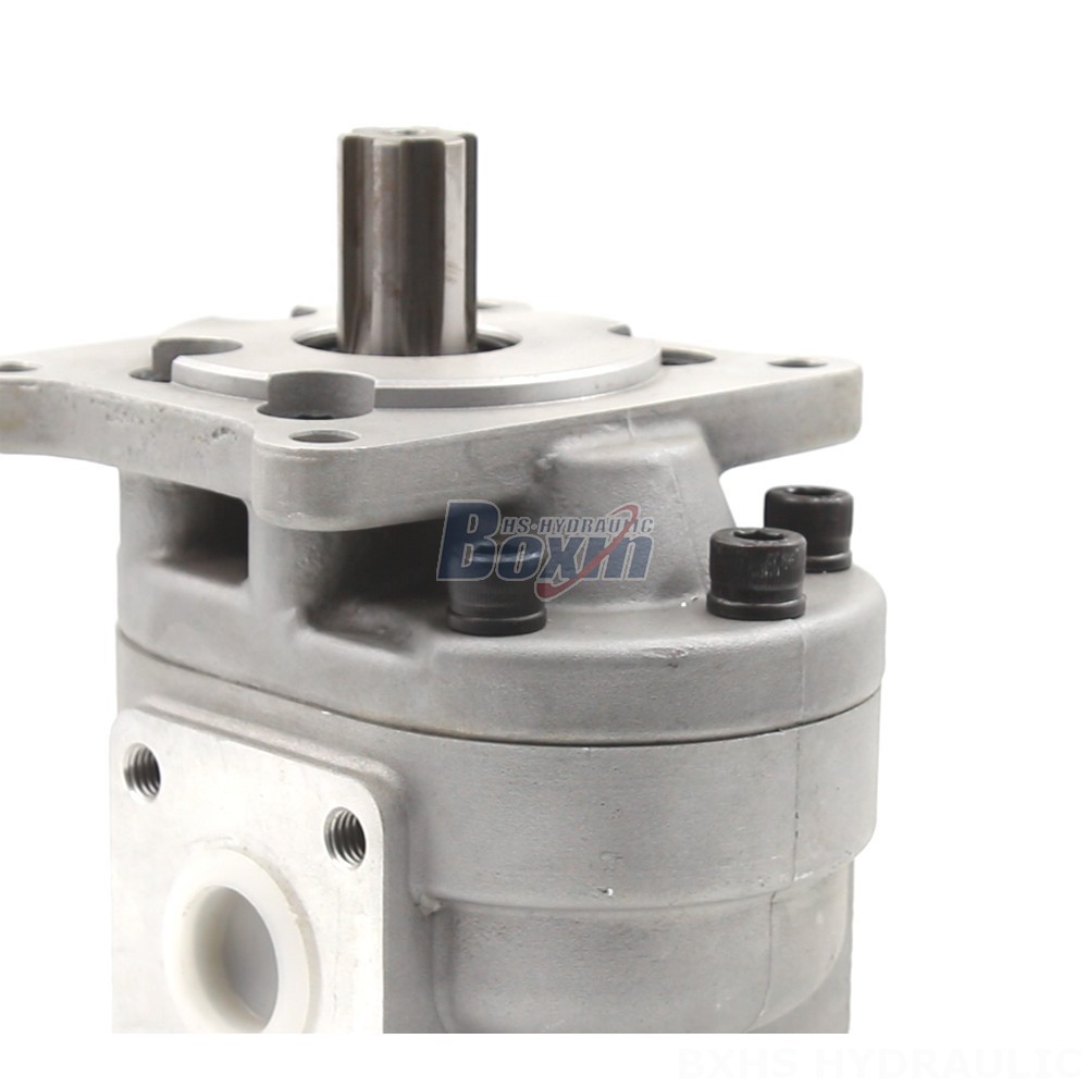 Advanced Hydraulic Gear Pumps - CBHS-F550 Series | Wholesale & OEM detail image