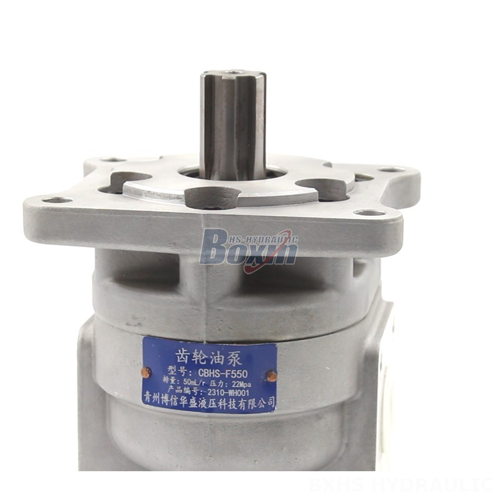 Manufacturer of CBHS-F550 Gear Pumps: Wholesale & Customization Available detail image