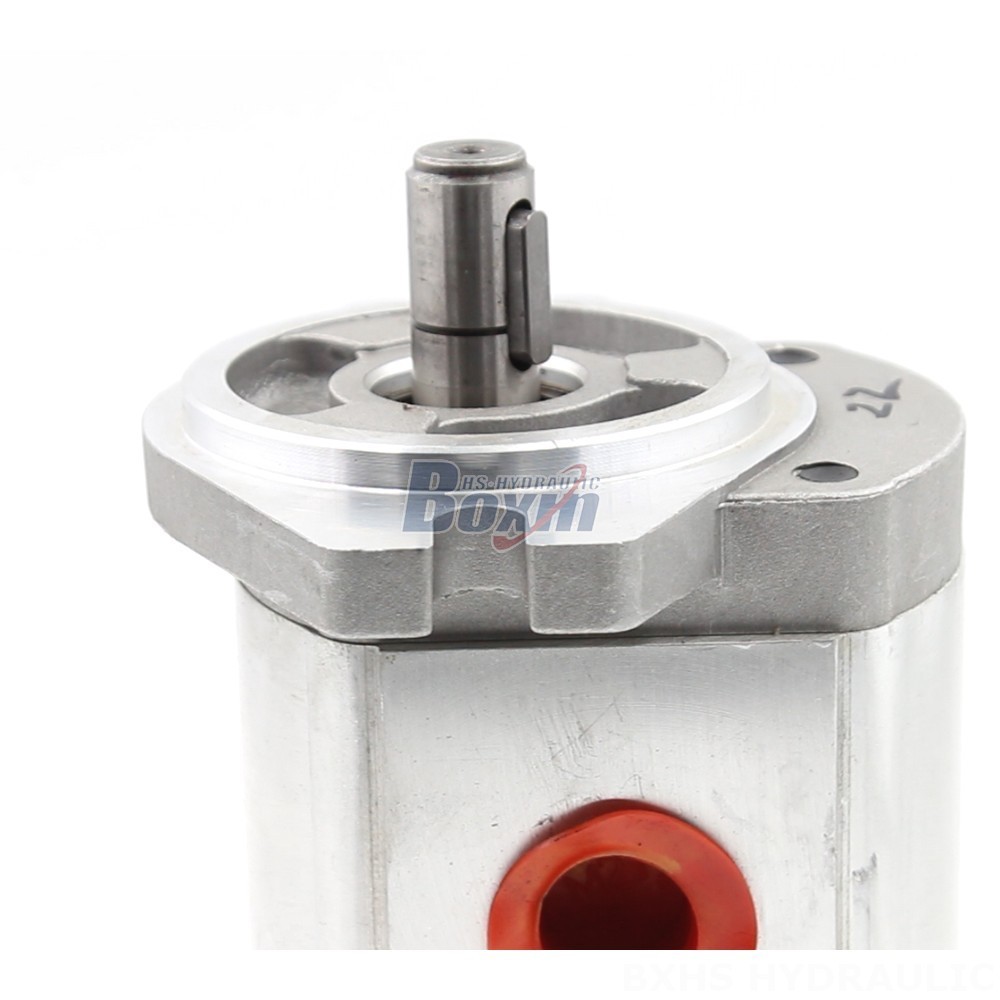 CBHS-FL304 4 cc/rev Hydraulic Gear Pump: OEM & ODM Services Available detail image