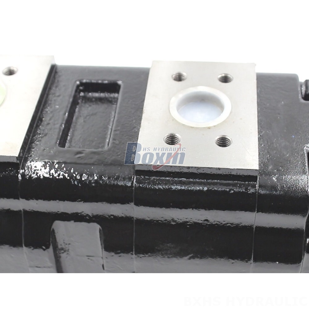 100 cc/rev Hydraulic Gear Pump JHP2100-2080-1016 | Global Supplier detail image