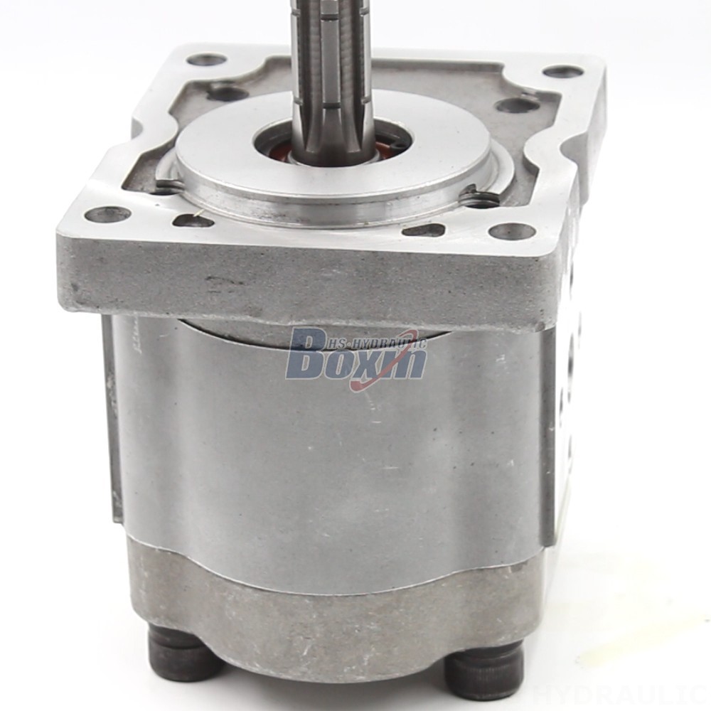 10 cc/rev Hydraulic Gear Pump: Manufacturer, Supplier, and Customization detail image