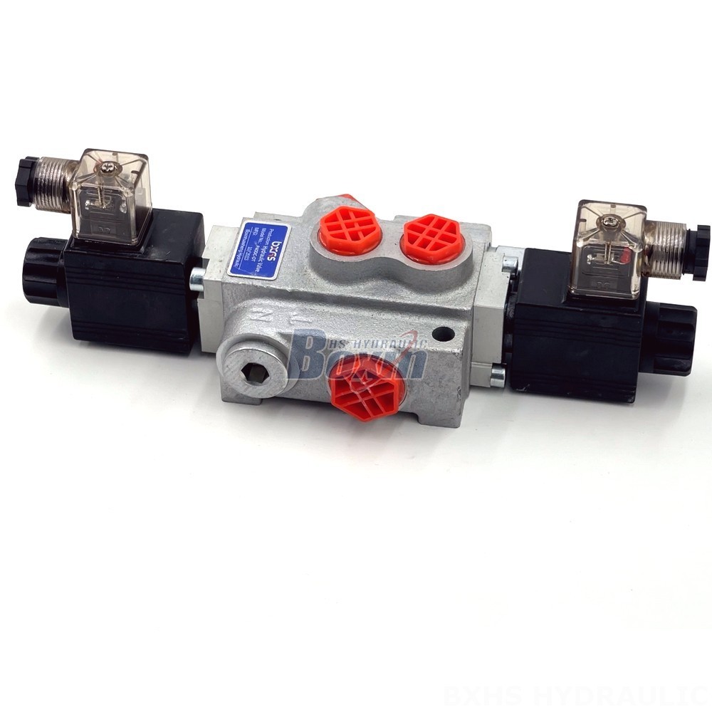 P40-DKL Valves: OEM/ODM Services for Private Labeling & Customization detail image