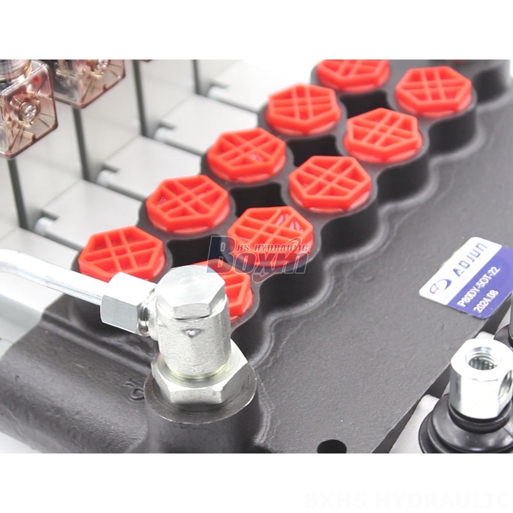 P80 Monoblock Directional Valve: Manufacturer Direct Supply, Bulk Discounts Available detail image