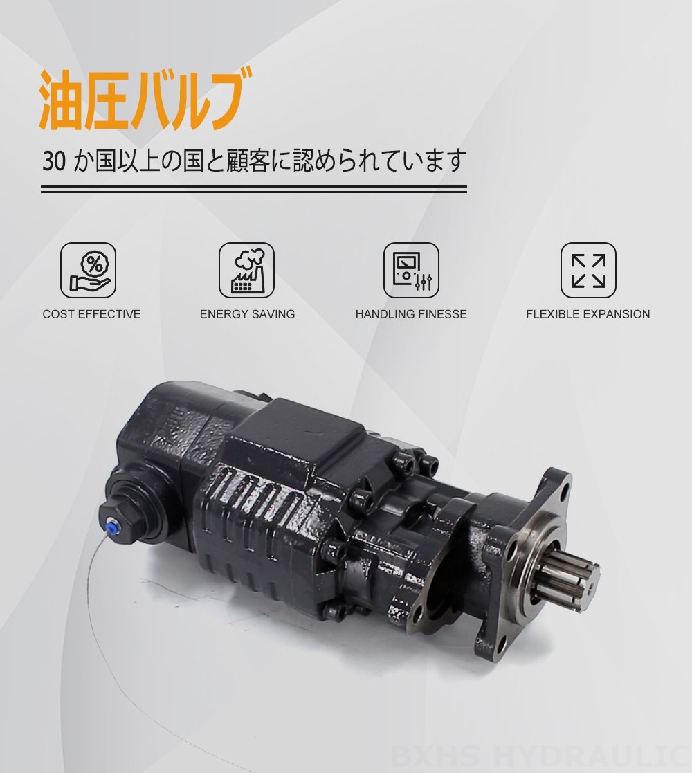 BF110A-ZF1 110 cc/回転 20 MPa (2900 psi) 油圧ギア・ポンプ