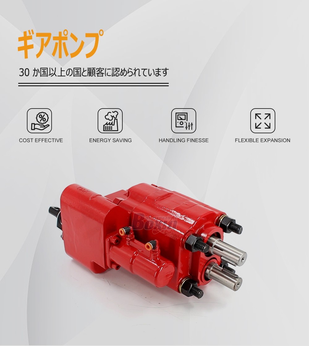 Custom OEM/ODM C101-25-AS-H 100 cc/rev Hydraulic Gear Pump Manufacturing Services