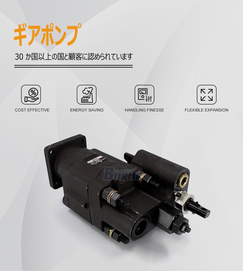High Performance C102-LMS-25 100 cc/rev External Gear Pump