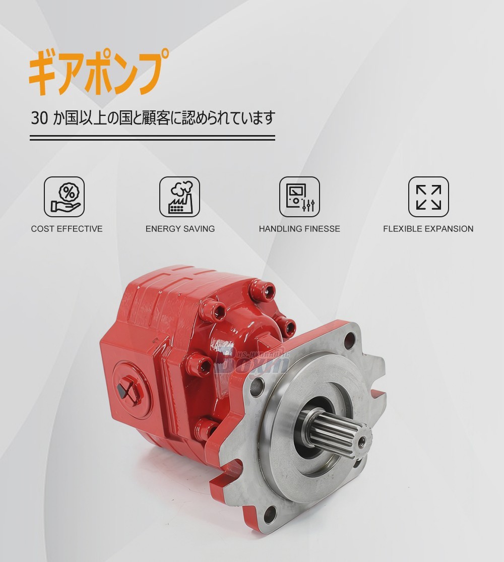 CBHS3100 100 cc/rev Hydraulic Gear Pump Unit Specification