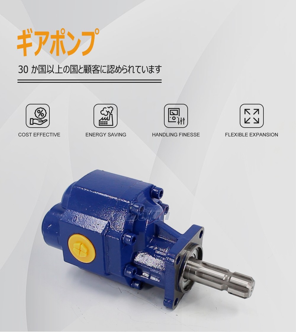 CBHST1-110-KZ 110 cc/rev Hydraulic Gear Pump for Industrial Machinery