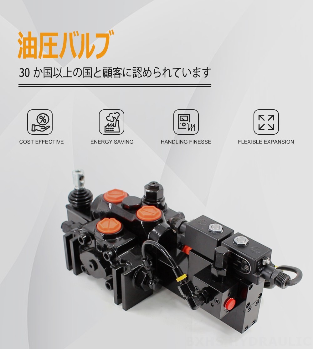 DCV200-FB 電気油圧 1スプール セクショナル方向弁
