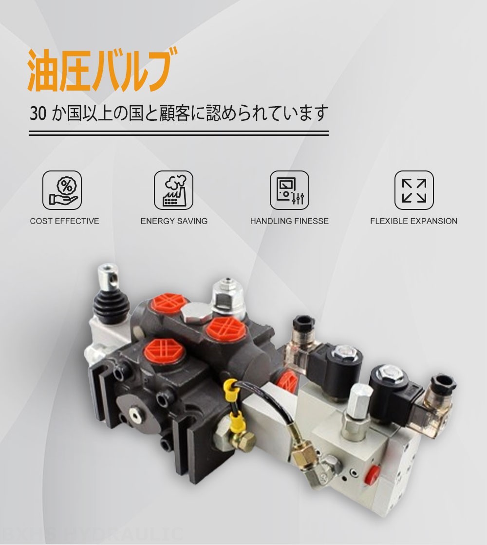 DCV200 電気油圧 1スプール セクショナル方向弁