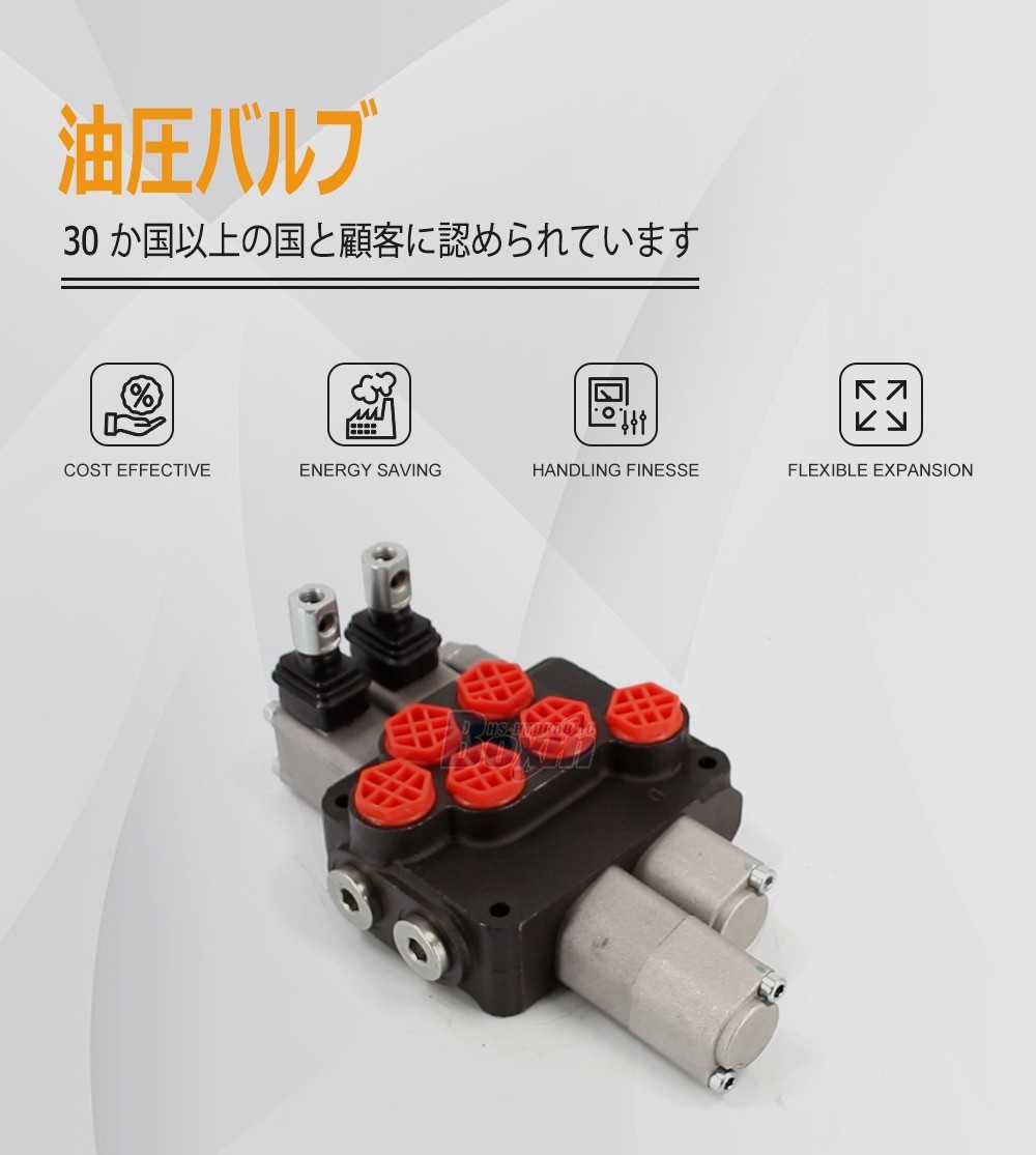 Strategic Cooperation Opportunities for DCV20 2 Spool Hydraulic Valve Distribution and Trading