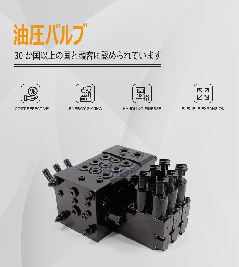 Industrial Grade DCV55 Electro-hydraulic 3 Spool Directional Valve