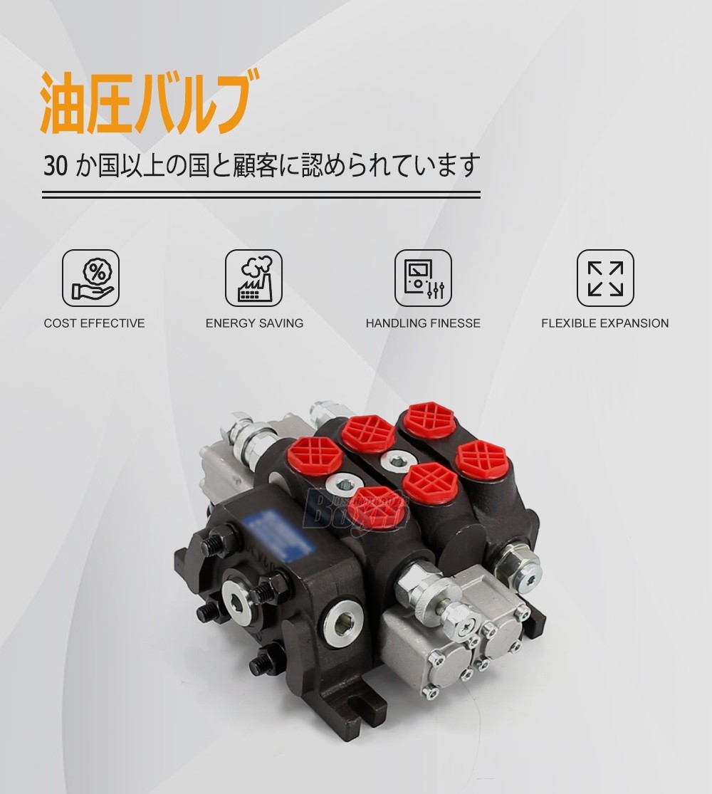 Bulk Supply DCV60-FZJ Manual 2 Spool Sectional Control Valve from Factory