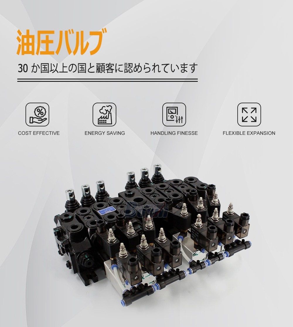 Seeking Global Distributors and Wholesalers for DCV60 6 Spool Valves
