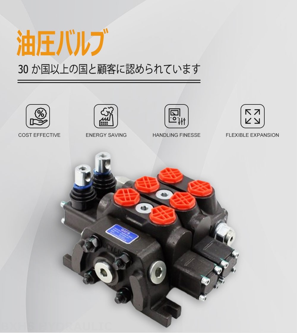 DCV60 手動 2スプール セクショナル方向弁