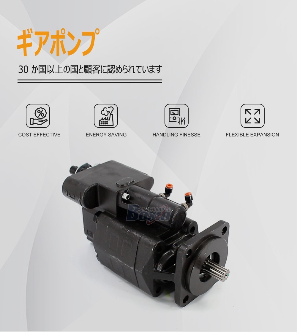 Custom OEM ODM Service for G102-AS 63 cc/rev Hydraulic Gear Pump with Private Labeling
