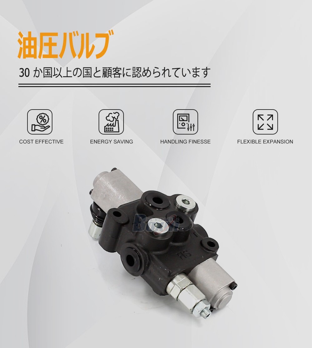 Seeking Global Distributors and Wholesalers for HS45-FZJ 1 Spool Monoblock Valve