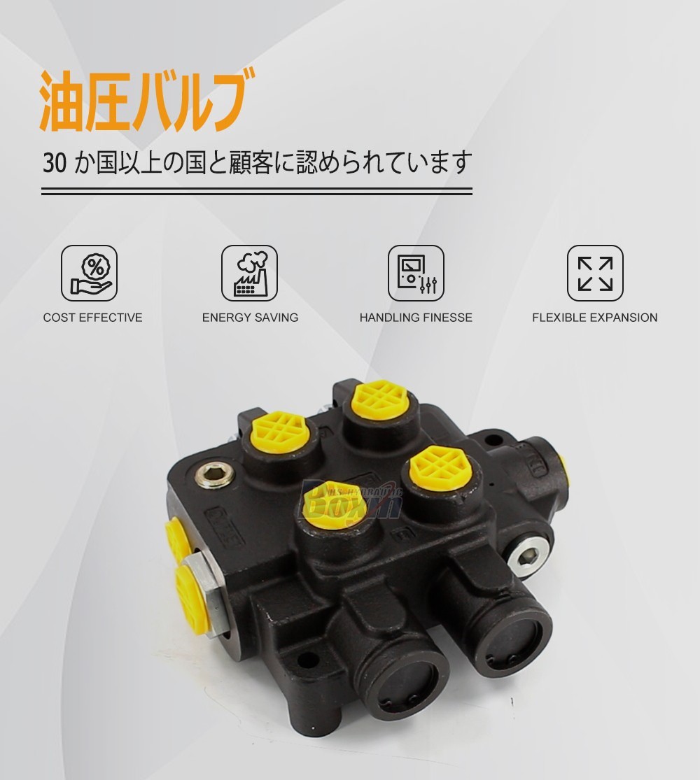 Global Partnership Opportunities for HSSP-2OT-J 2 Spool Hydraulic Valves