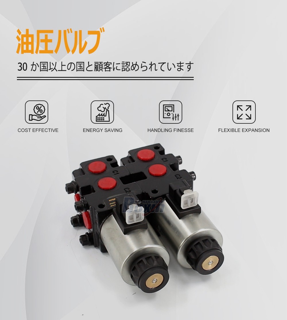 Industrial HSV09 2 Spool Solenoid Flow Diverter Control Valve