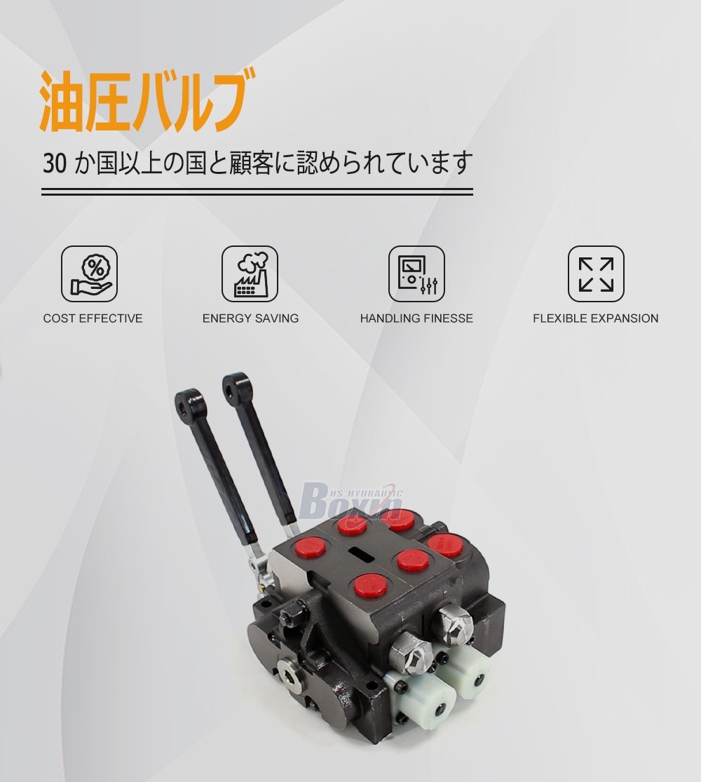 Sectional Control Valve HSV20 Series Manual 2 Spool Design
