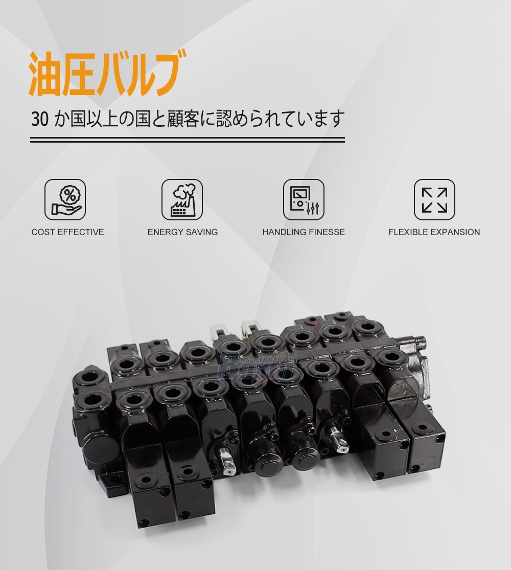 HSW50 Series 8 Spool Monoblock Control Valve for Hydraulic Systems