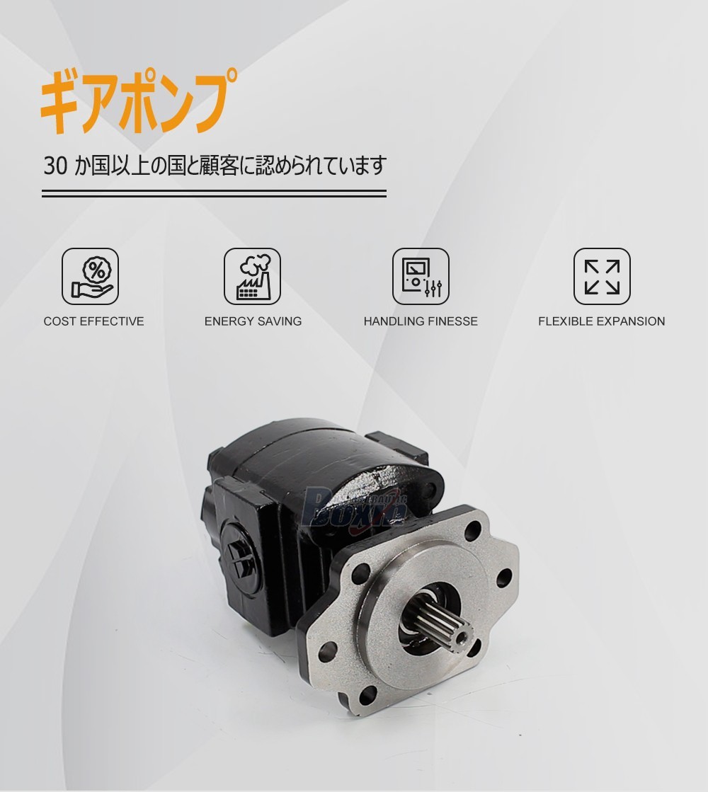 Competitive Price P21A646JEAL20-25 64.6 cc/rev Hydraulic Gear Pump by Manufacturer