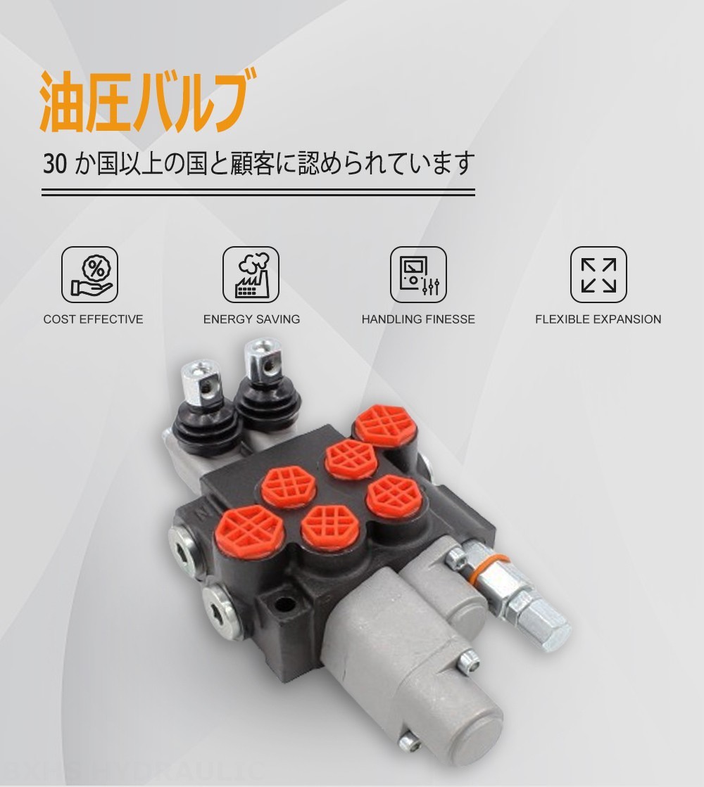 P40-AQF-G38-G12 手動 2スプール モノブロック方向弁