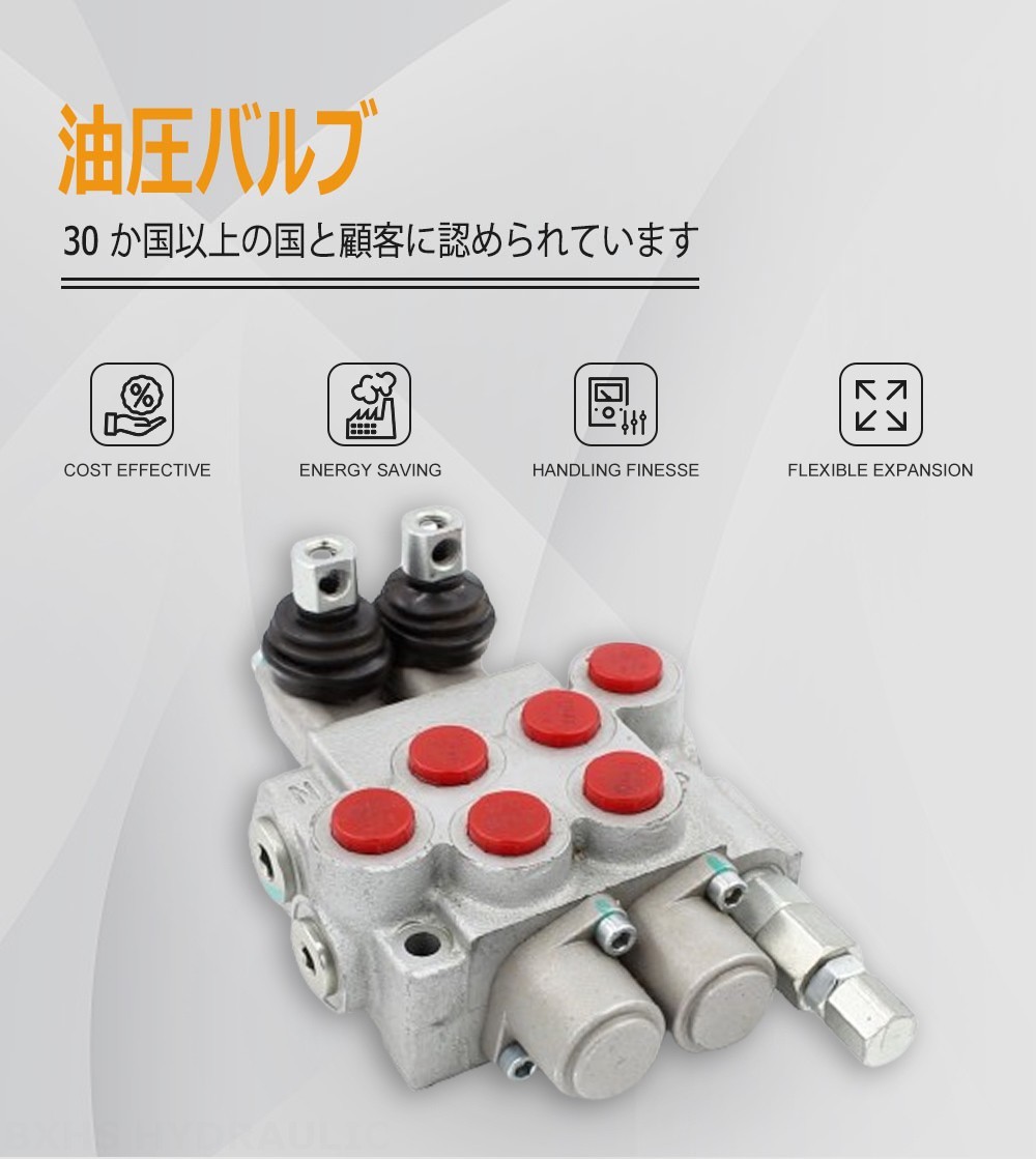 P40-DKL 手動 2スプール モノブロック方向弁