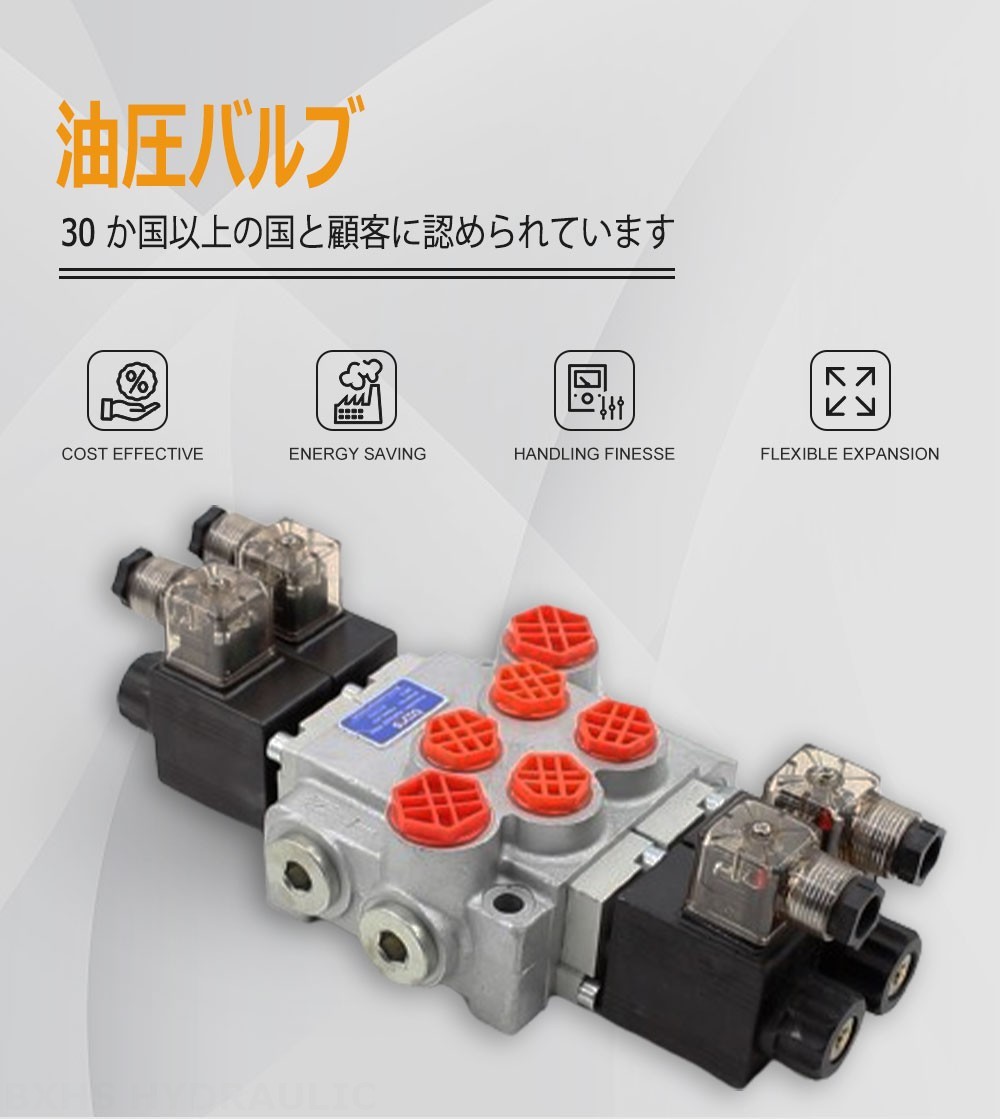 P40-DKL ソレノイド 2スプール モノブロック方向弁