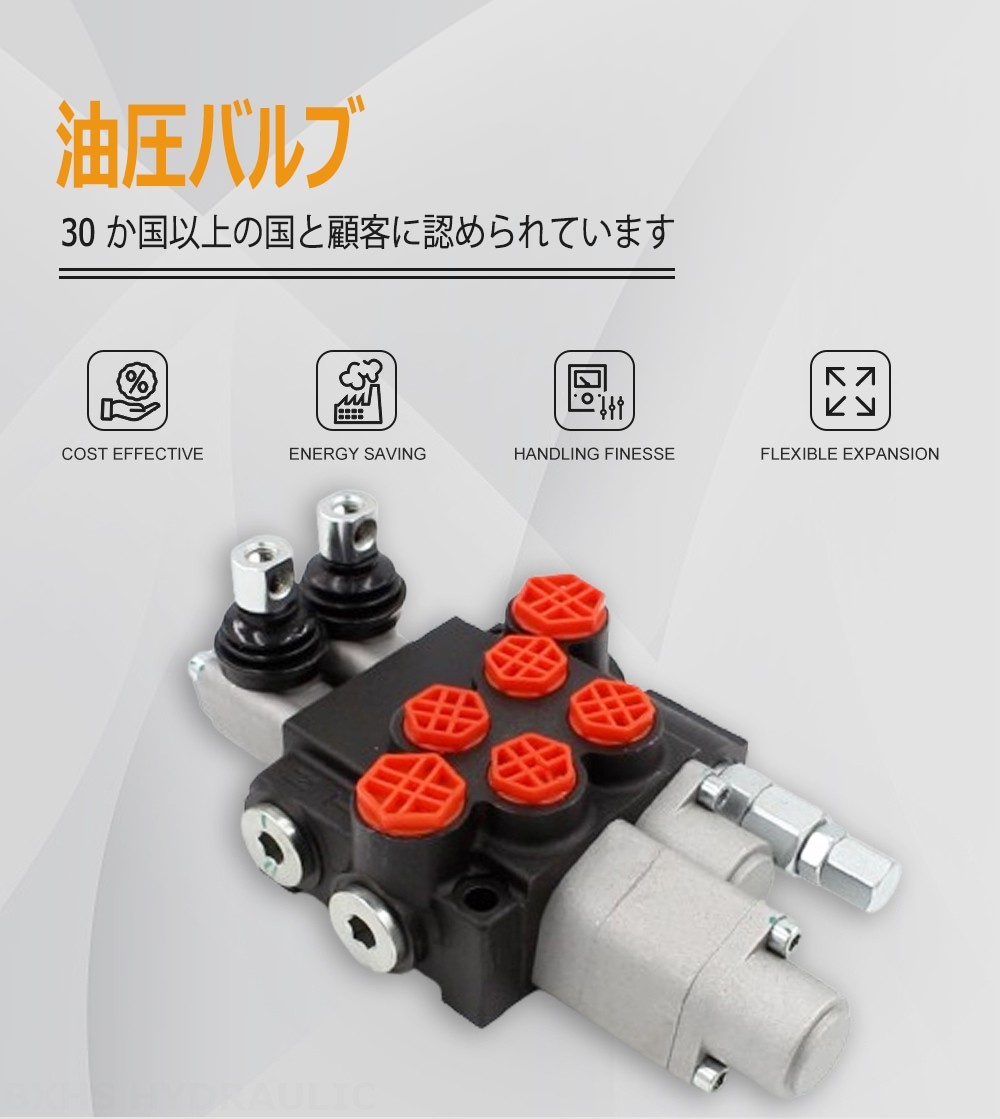 P40-G12-G38-OT-QTW1 手動 2スプール モノブロック方向弁