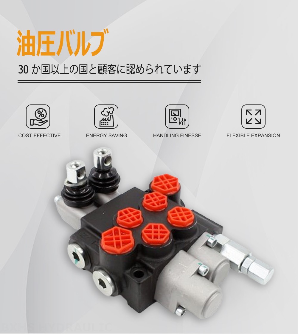 P40-G12-G38-OT-QTW 手動 2スプール モノブロック方向弁