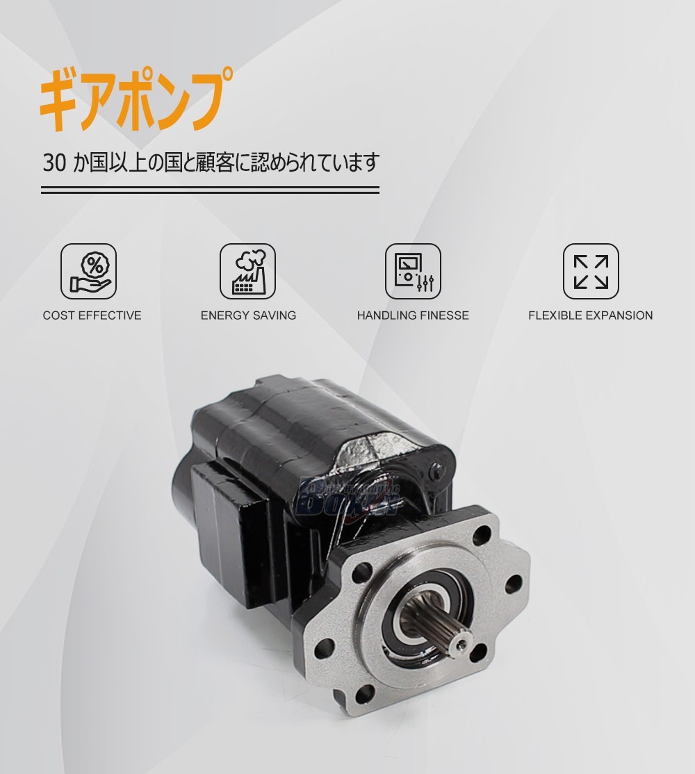 P51A646TEYR25-25 Hydraulic Pump Direct from Large Scale Factory