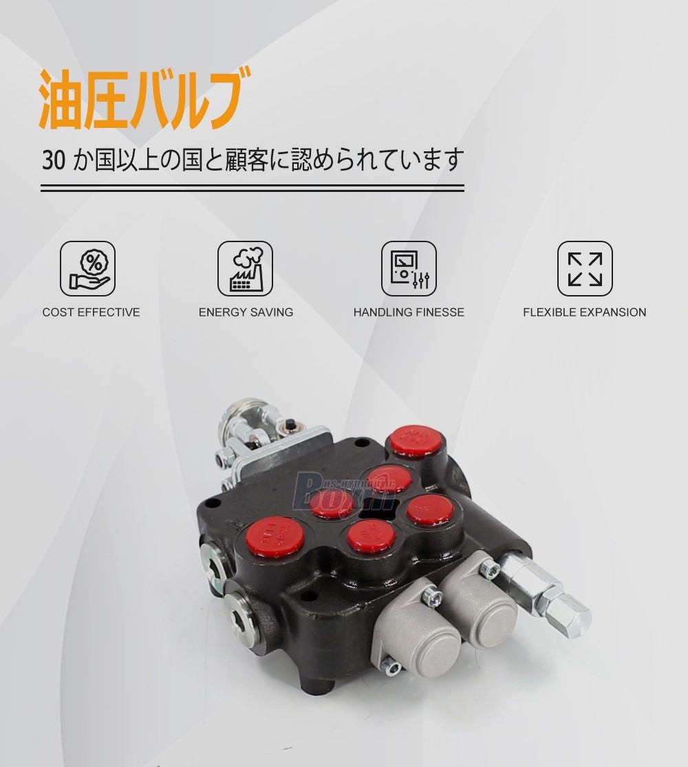 Direct From Factory P80-U1-J2OT 2 Spool Directional Valve Wholesale