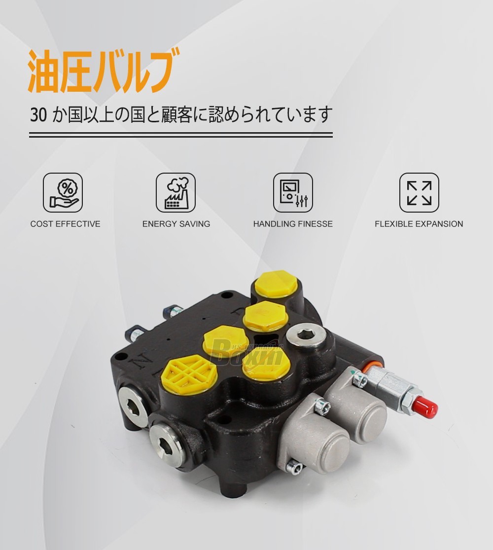 Strategic Partnership Opportunities for P80A-G-BT-OT Hydraulic Valves