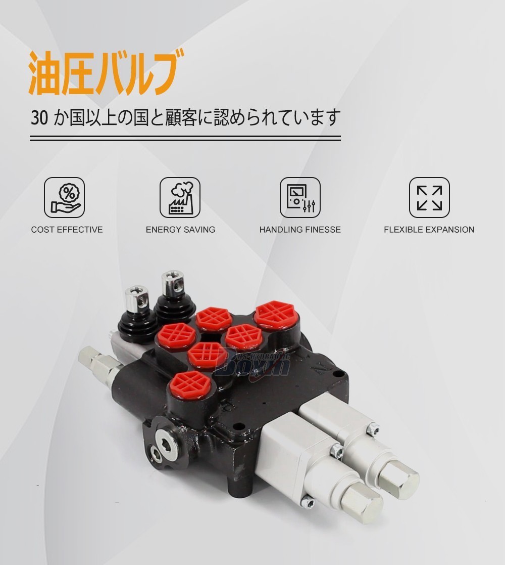 High Performance P80AFT-2QTW1 Monoblock Valve 2 Spool Control Valve