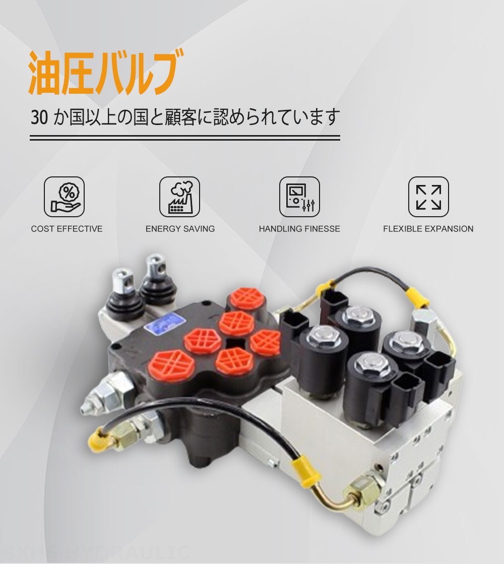 P80 電気油圧 2スプール モノブロック方向弁