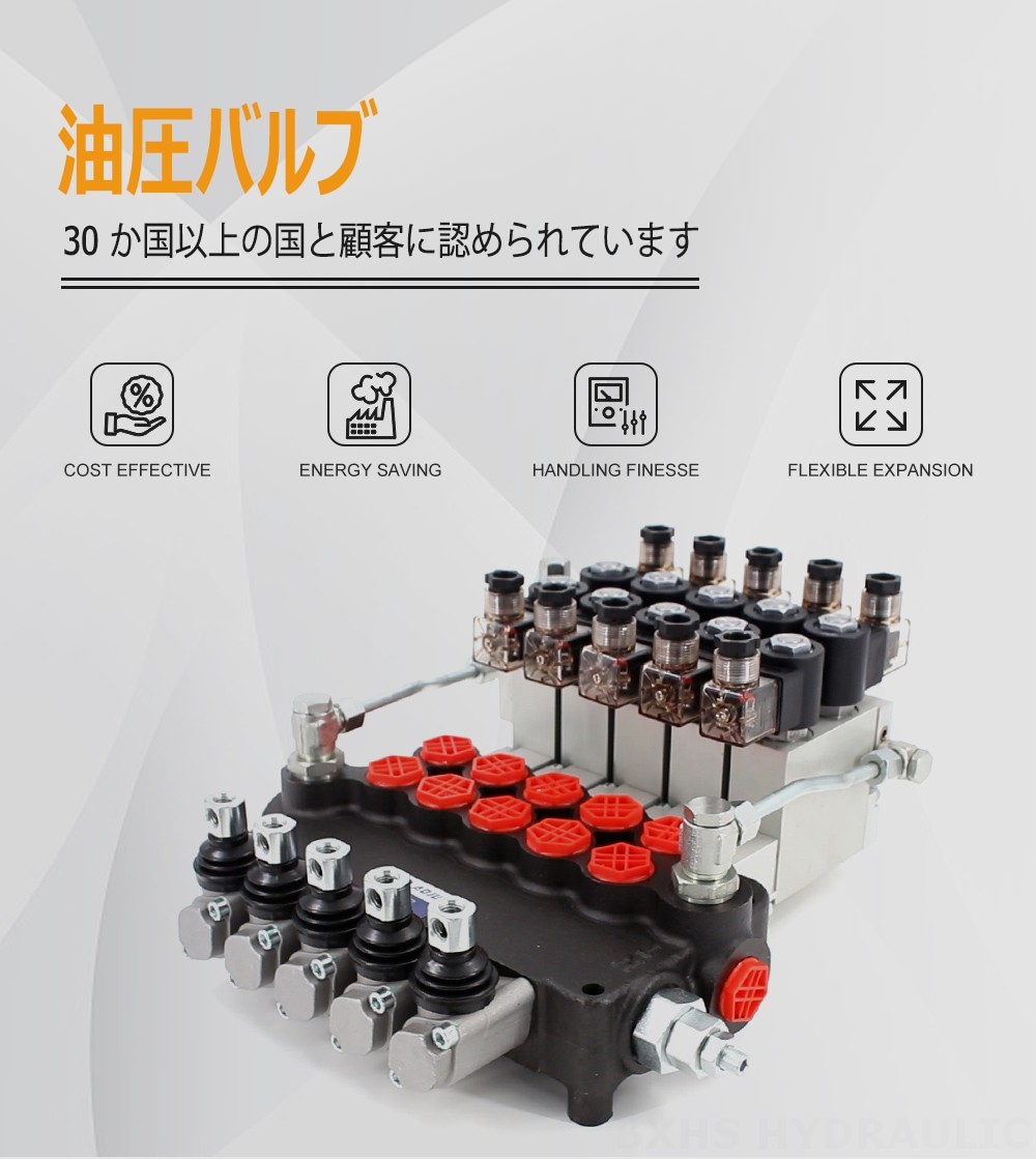 P80 電気油圧 5スプール モノブロック方向制御弁