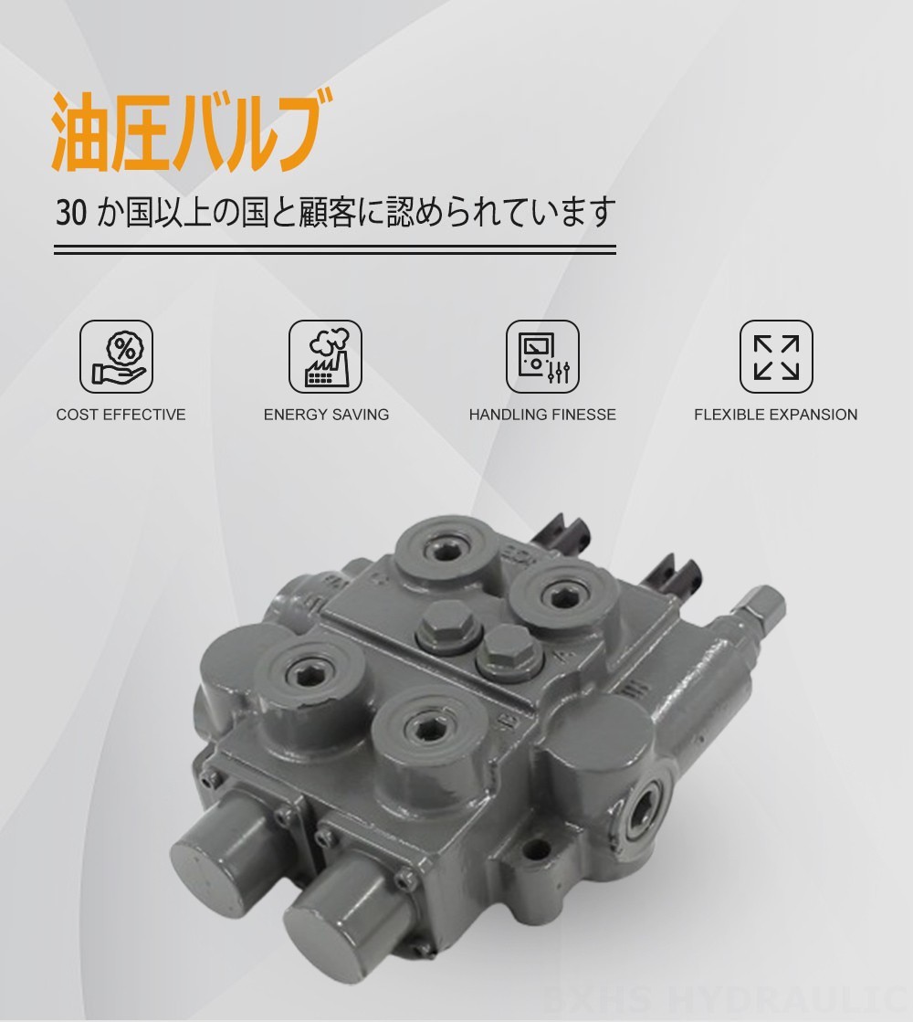 RD5200-H 手動 2スプール 油圧制御弁