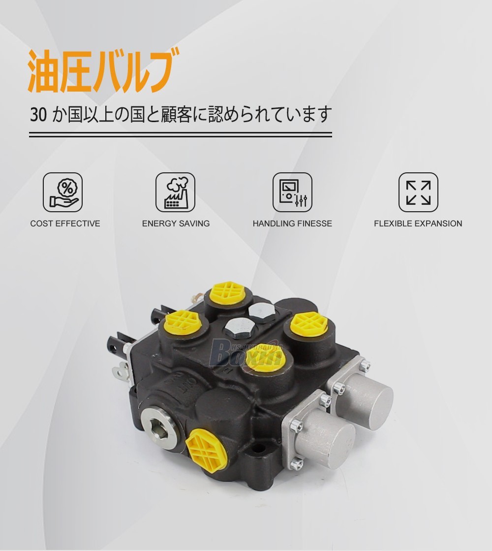 Durable RD5200NPT-2OT 2 Spool Hydraulic Control Valve for Construction Equipment