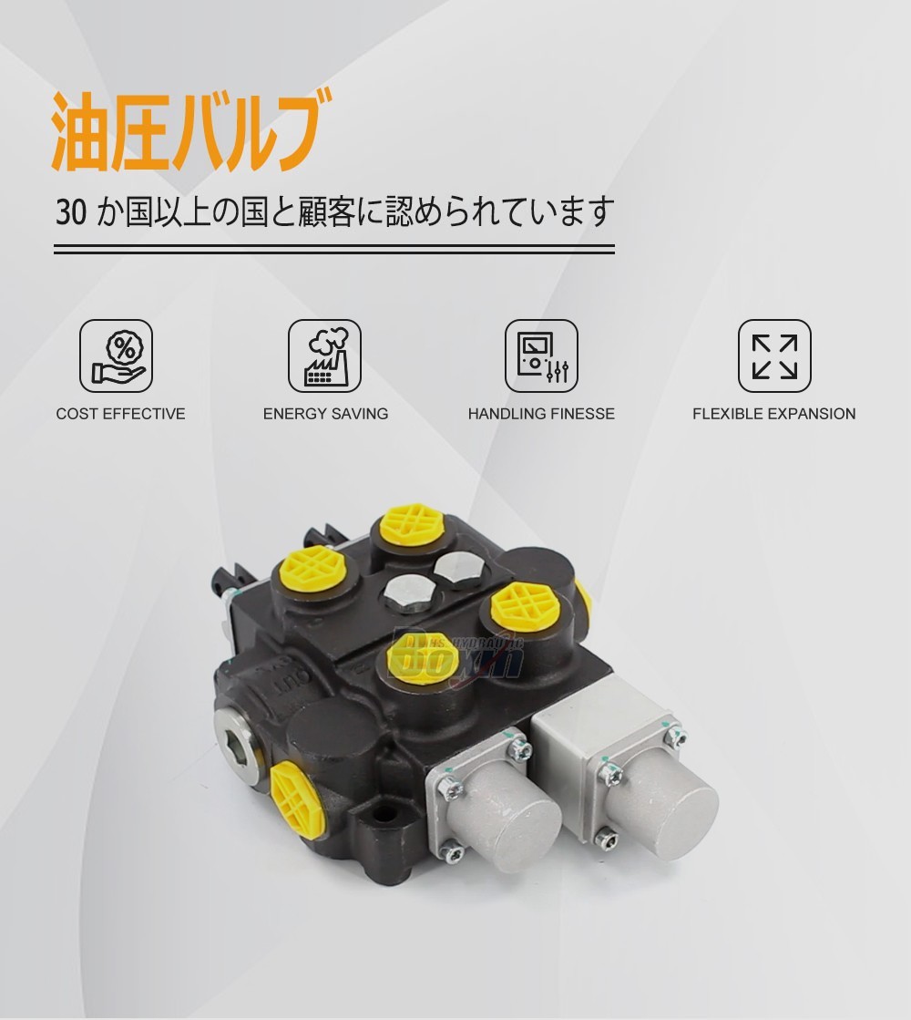 Industrial Grade RD5200NPT-QTW-OT Manual Hydraulic Valve with NPT Ports