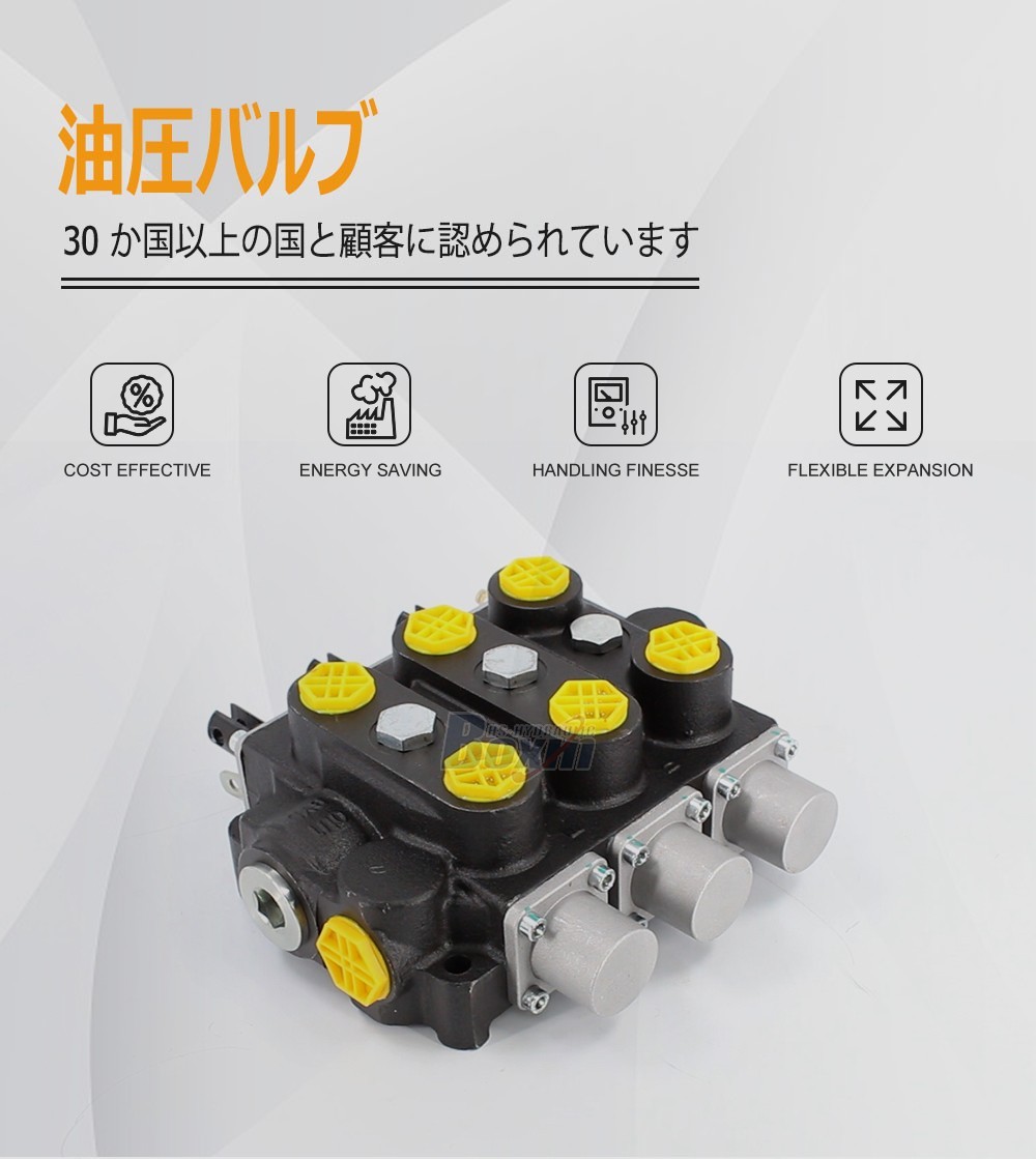 Factory Source RD5300NPT-3OT 3 Spool Manual Hydraulic Valve for Global Market
