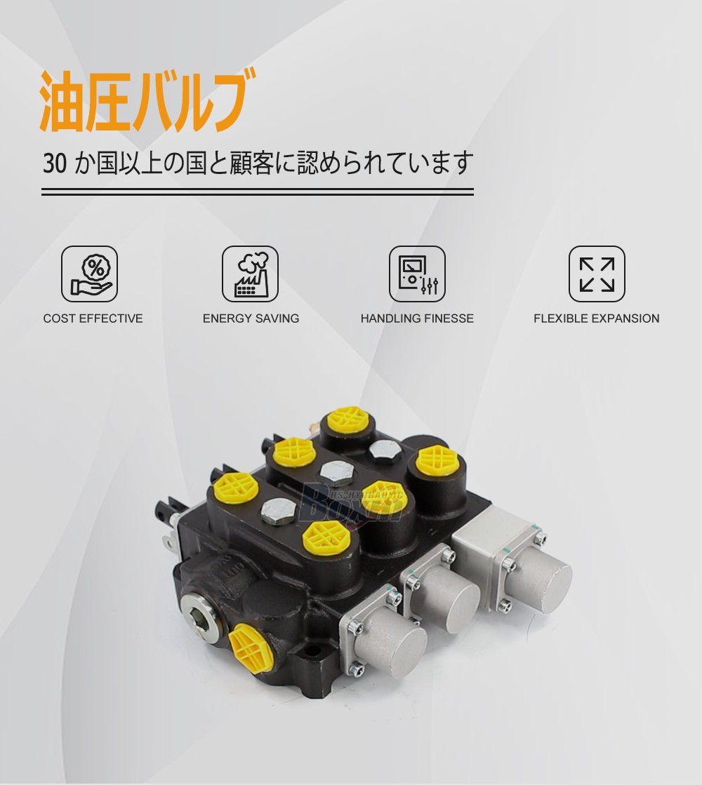 Seeking Global Distributors and Wholesalers for RD5300NPT-QTW-2OT Hydraulic Valves